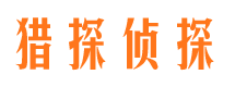 元宝市调查公司